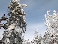 Parc national du Mont-Mégantic -Secteur de l'Observatoire